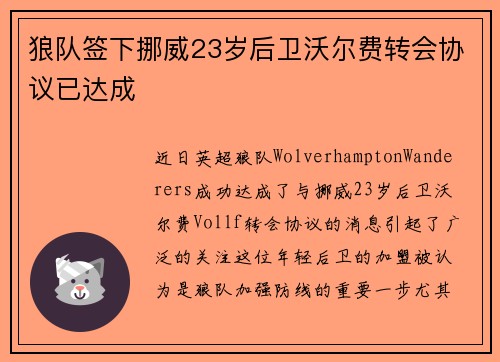 狼队签下挪威23岁后卫沃尔费转会协议已达成